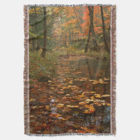 VS, Virginia, herfst in Douthat State Park Deken (Voorkant Verticaal)