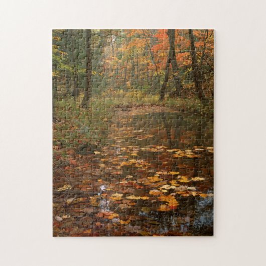 VS, Virginia, herfst in Douthat State Park Legpuzzel (Verticaal)