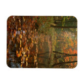 VS, Virginia, herfst in Douthat State Park Magneet (Horizontaal)