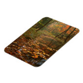 VS, Virginia, herfst in Douthat State Park Magneet (Linkerzijde)