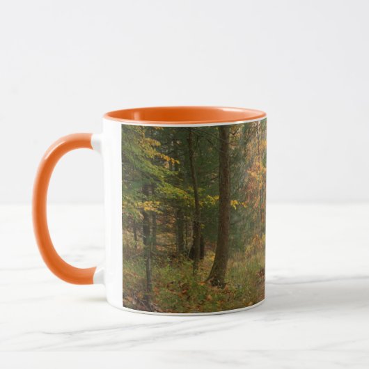 VS, Virginia, Herfst in Douthat State Park Mok (Links)