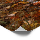 VS, Virginia, herfst in Douthat State Park Poster (Hoek)