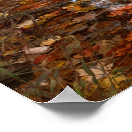 VS, Virginia, herfst in Douthat State Park Poster (Hoek)