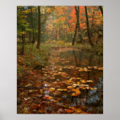 VS, Virginia, herfst in Douthat State Park Poster (Voorkant)