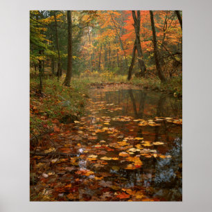 VS, Virginia, herfst in Douthat State Park Poster