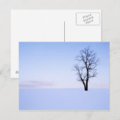 VS, Virginia, Page County, Black Locust Briefkaart (Voorkant / Achterkant)
