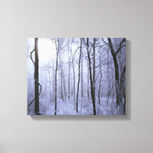 VS, Virginia, Richard Thompson Wildlife Area. Canvas Afdruk