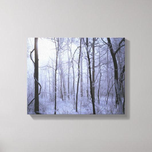 VS, Virginia, Richard Thompson Wildlife Area. Canvas Afdruk (Voorkant)