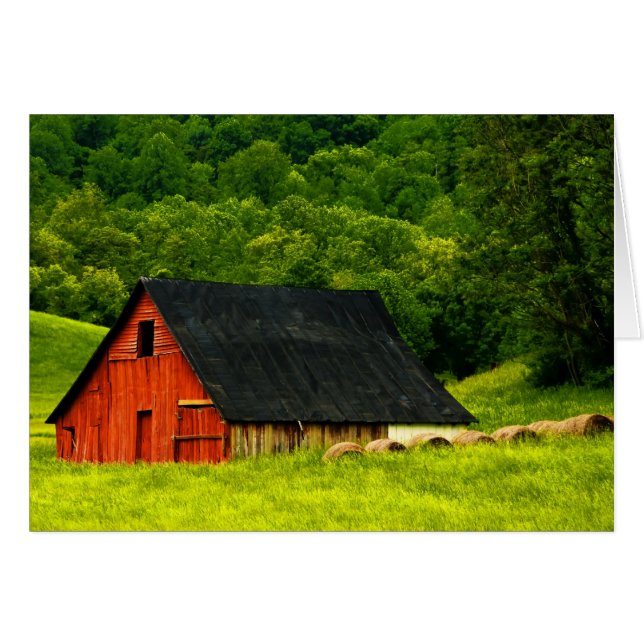 VS, Virginia, Shenandoah National Park, 2 (Voorkant Horizontaal)