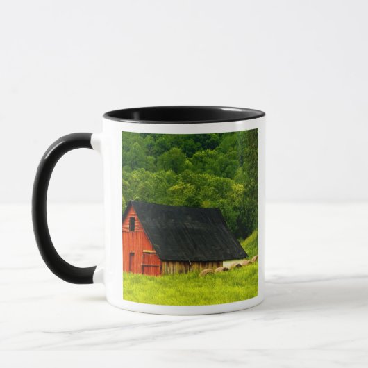 VS, Virginia, Shenandoah National Park, 2 Mok (Links)