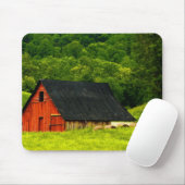 VS, Virginia, Shenandoah National Park, 2 Muismat (Met muis)