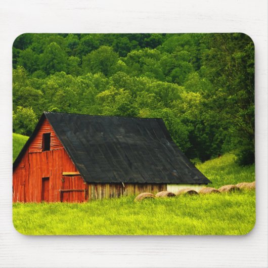 VS, Virginia, Shenandoah National Park, 2 Muismat (Voorkant)