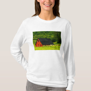 VS, Virginia, Shenandoah National Park, 2 T-shirt