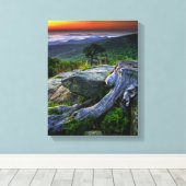 VS, Virginia, Shenandoah National Park. Canvas Afdruk (Insitu (Houten vloer))