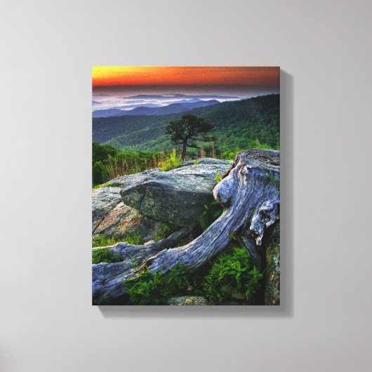 VS, Virginia, Shenandoah National Park. Canvas Afdruk (Voorkant)