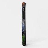 VS, Virginia, Shenandoah National Park. Case-Mate iPhone Case (Achterkant/links)