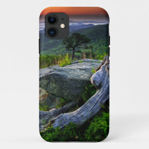 VS, Virginia, Shenandoah National Park. Case-Mate iPhone Case