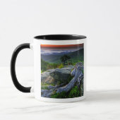 VS, Virginia, Shenandoah National Park. Mok (Links)