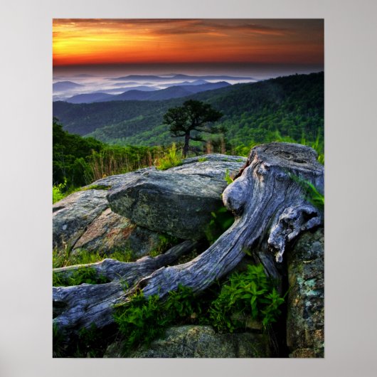 VS, Virginia, Shenandoah National Park. Poster (Voorkant)