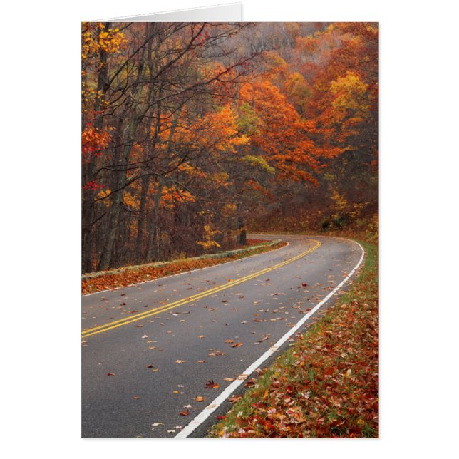 VS, Virginia, Shenandoah National Park, Skyline (Voorkant)