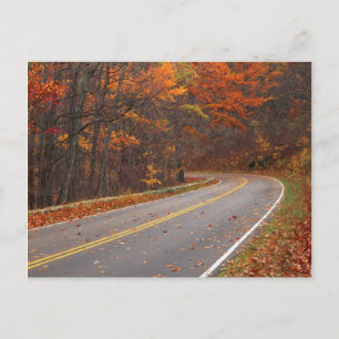 VS, Virginia, Shenandoah National Park, Skyline Briefkaart