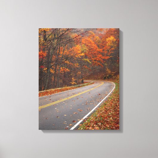 VS, Virginia, Shenandoah National Park, Skyline Canvas Afdruk (Voorkant)