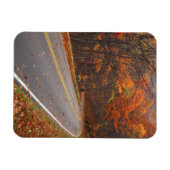 VS, Virginia, Shenandoah National Park, Skyline Magneet (Horizontaal)