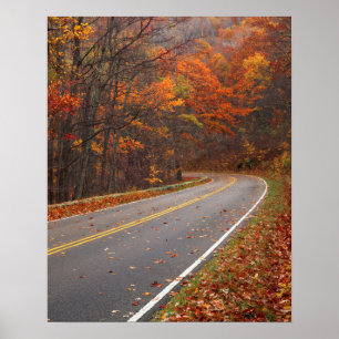 VS, Virginia, Shenandoah National Park, Skyline Poster