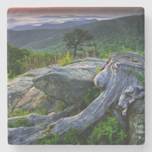 VS, Virginia, Shenandoah National Park. Stenen Onderzetter