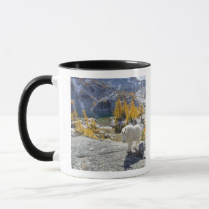 VS, WA, Alpine Lakes Wildernis Enchantments. Mok