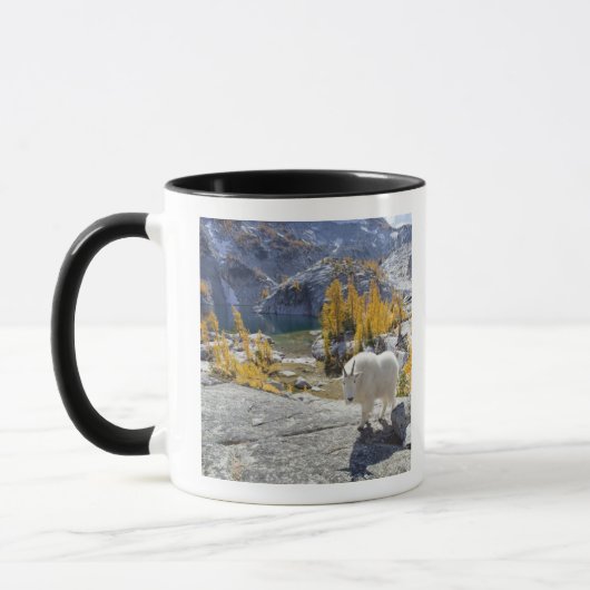 VS, WA, Alpine Lakes Wildernis Enchantments. Mok (Links)