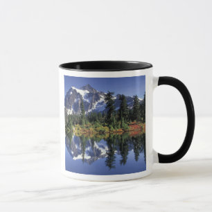 VS, WA, Heather Meadows RA. Mount Shuksan bij Mok