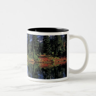 VS, WA, Heather Meadows RA. Mount Shuksan bij Tweekleurige Koffiemok