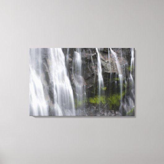 VS, WA, Mt. Rainier NP, Narada Falls Canvas Afdruk (Voorkant)