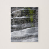 VS, WA, Mt. Rainier NP, Narada Falls Legpuzzel (Verticaal)