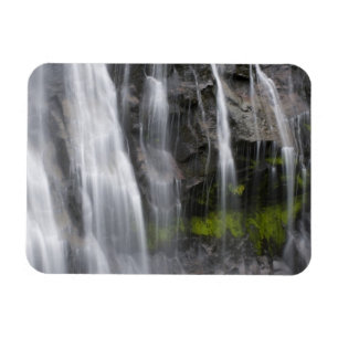 VS, WA, Mt. Rainier NP, Narada Falls Magneet