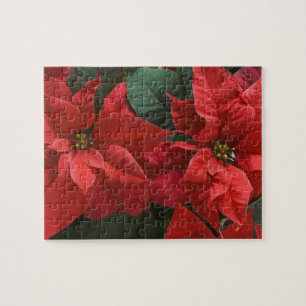 VS, WA, Red Poinsettia Detail (euhorbia) Legpuzzel