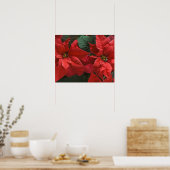 VS, WA, Red Poinsettia Detail (euhorbia) Poster (Keuken)