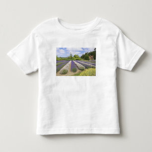 VS, WA, Sequim, Purple Haze Lavender Farm Kinder Shirts