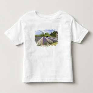 VS, WA, Sequim, Purple Haze Lavender Farm Kinder Shirts