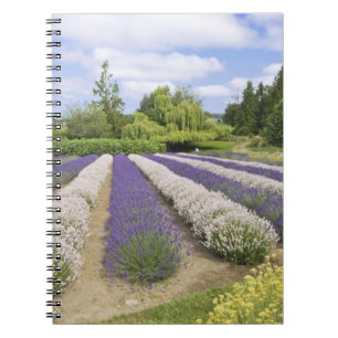 VS, WA, Sequim, Purple Haze Lavender Farm Notitieboek