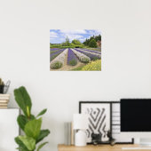VS, WA, Sequim, Purple Haze Lavender Farm Poster (Thuiskantoor)
