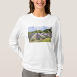 VS, WA, Sequim, Purple Haze Lavender Farm T-shirt