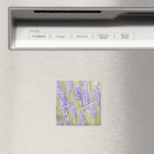 VS, WA, Squim, Lavendel (Selectieve Focus) Magneet (Insitu (Vaatwasser))