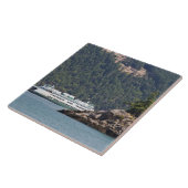VS, WA. Washington State Ferries Tegeltje (Zijkant)