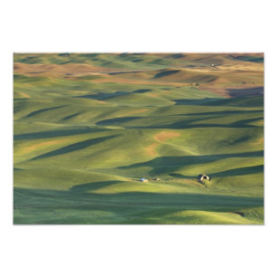 VS, WA, Whitman Co., Palouse akkerbouwvelden vanui Foto Afdruk