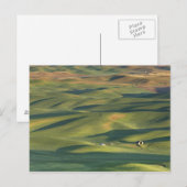 VS, WA, Whitman Co., Palouse akkers vanaf Briefkaart (Voorkant / Achterkant)