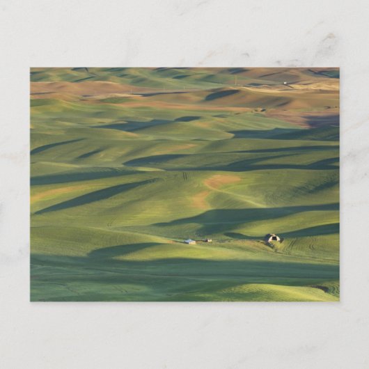 VS, WA, Whitman Co., Palouse akkers vanaf Briefkaart (Voorkant)