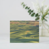 VS, WA, Whitman Co., Palouse akkers vanaf Briefkaart (Staand voorkant)