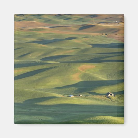 VS, WA, Whitman Co., Palouse akkers vanaf Magneet (Voorkant)